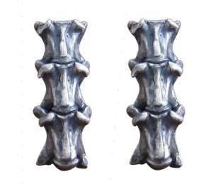 Punk Anatomical Snake Spinal Bones Jakotsu Gothic Skeleton Anatomy Jewelry Stud Earrings