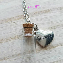 Carica l&#39;immagine nel visualizzatore di Gallery, 1PCS Memorial Necklace family member, Urn Vial Necklace for Ashes, Cremation Jewelry