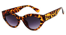 Load image into Gallery viewer, 2023 Cat Eye Sunglasses Men Women Retro Small Frame Eye Cat Sunglasses Man Transparent Frame Mirror Lenses Traveling