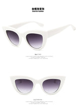 Load image into Gallery viewer, 2023Cat Eye Sunglasses For Women Pink Mirror Retro Brand Designer Shades Female Sun Glasses Black pink Coating