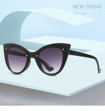 Load image into Gallery viewer, 2023 Big Frame Cat Eye Sunglasses for Women Female Trend ins Gradient Sun Glasses Street Shooting Leopard Eyewear