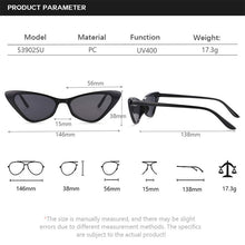 Load image into Gallery viewer, 53902 Small Frame Cat Eye Sunglasses Retro Women Shades UV400 Vintage Glasses