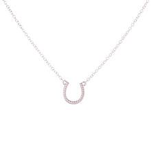Load image into Gallery viewer, Brand Fashion Gold Silver Horseshoe Necklace Women Jewelry U Shaped Horse Hoof Pendant Necklaces Lobster Clasp Chain Necklaces