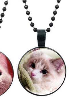 Cat Silver Color Jewelry Collana classica in vetro e ciondoli Moda Collares Gioielleria raffinata da donna 