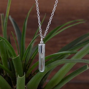 Affascinante collana con bottiglia di vetro Vinatge Dandelion Wish Collane con pendente in vetro per accessori di gioielli da donna 