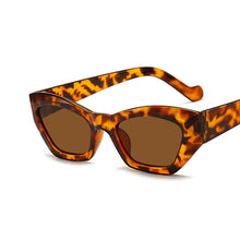 Load image into Gallery viewer, DCM 2023 Popular Cat Eye Sunglasses Woman Vintage Oval Sunglass Leopard Black Sun Glasses Shades UV400