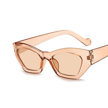 Load image into Gallery viewer, DCM 2023 Popular Cat Eye Sunglasses Woman Vintage Oval Sunglass Leopard Black Sun Glasses Shades UV400