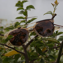 Load image into Gallery viewer, brand design double nose bridge natural yak horn brown polarized sunglasses for women ladies horn glasses eyeglasses