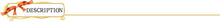 Load image into Gallery viewer, Pendant Shiny Choker For Women Fishline Necklace Jewelry Transparent Invisible Line Fashion