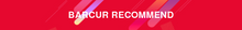 Load image into Gallery viewer, BARCUR Fashion Polarized Women Sunglasses Round Sun Glass Ladies Lunette De Soleil Femme