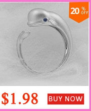 Load image into Gallery viewer, new original Silver Color  slip falling meteor micro-inlaid necklace Meteor Garden fashion trend jewelry