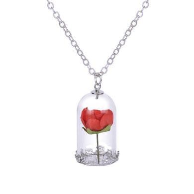 Classical Glass Vial Necklace Prince Rose Necklace pendants Retro Crystal Natural Dried Flowers Necklace For Mom family