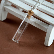 Load image into Gallery viewer, Make A Wish Glass Bead Orb Natural dandelion seed in glass long necklace Glass bottle necklace silver plated Necklace jewelry