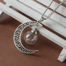 Load image into Gallery viewer, Make A Wish Glass Bead Orb Natural dandelion seed in glass long necklace Glass bottle necklace silver plated Necklace jewelry