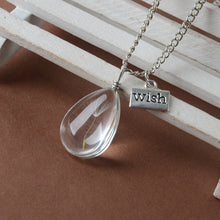 Load image into Gallery viewer, Make A Wish Glass Bead Orb Natural dandelion seed in glass long necklace Glass bottle necklace silver plated Necklace jewelry