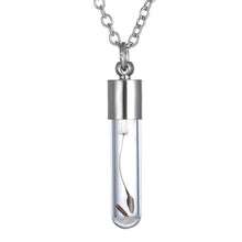 Load image into Gallery viewer, Make A Wish Glass Bead Orb Natural dandelion seed in glass long necklace Glass bottle necklace silver plated Necklace jewelry