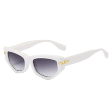 Load image into Gallery viewer, Plastic Cat Eyes Small Sunglass Mens Vintage Brand Designer Leopard Gradient Travel Sun glasses Man Sunglasses.