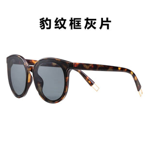 REEDOON Brand 2023 Polarized Sunglasses Men Male Eyewear Sun Glasses Travel Oculos Gafas De Sol 1700