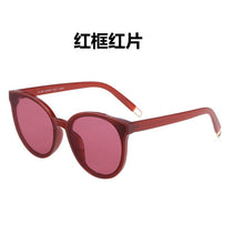 Load image into Gallery viewer, REEDOON Brand 2023 Polarized Sunglasses Men Male Eyewear Sun Glasses Travel Oculos Gafas De Sol 1700