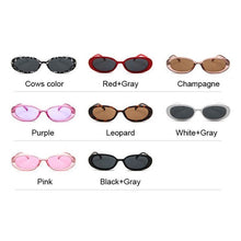 Load image into Gallery viewer, Style Small Oval Sunglasses Women Vintage Retro Round Frame White Black Mens Sun Glasses Leopard Hip Hop Clear Glasses UV400