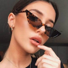 Load image into Gallery viewer, Vintage Small Cat Eye Sunglasses Women 2023 Brand Retro Points Women's Sun Glasses Superstar Female Leopard Cateye glasses