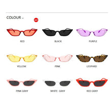 Load image into Gallery viewer, Vintage Small Cat Eye Sunglasses Women 2023 Brand Retro Points Women's Sun Glasses Superstar Female Leopard Cateye glasses