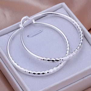 Wholesale High Quality Jewelry 925 jewelry silver plated Prismatic Section Earrings for Women best gift SMTE291