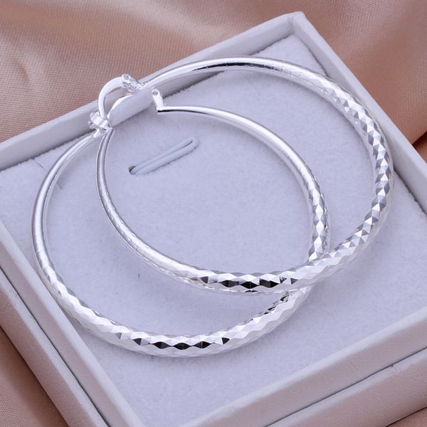 Wholesale High Quality Jewelry 925 jewelry silver plated Prismatic Section Earrings for Women best gift SMTE291