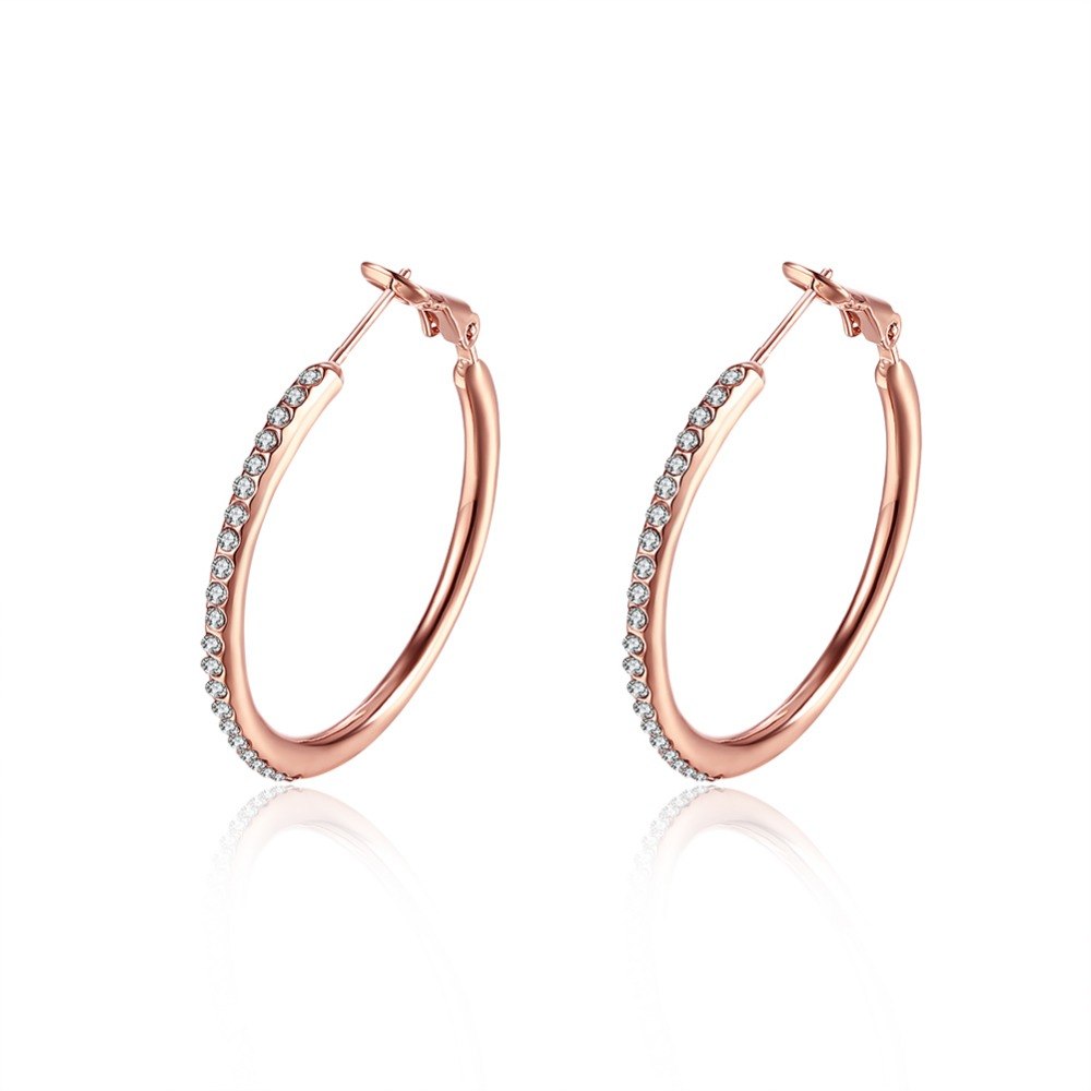 Wholesale fashion jewelry , women's jewelry jewelry earrings, good quality Rose KE085