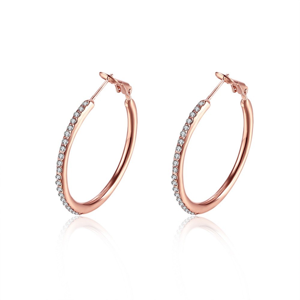Wholesale fashion jewelry , women's jewelry jewelry earrings, good quality Rose KE085