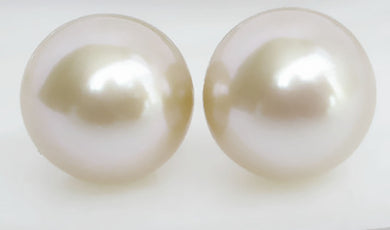 Wholesale price 16new ^^^^new big 12mm natural white round South Sea shell pearls 925sc stud Earrings AAA+