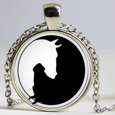 Yin Yang Horse Logo 2Styles Silver Pendant Necklace Long Chian Statement Handmade Necklace For Women