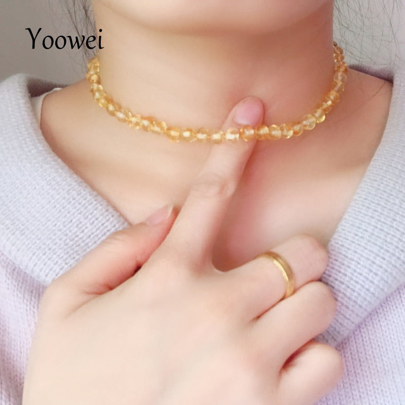 New Choker Amber Necklace Wholesale Natural Baltic Beads Customized Women Amber Jewelry Trendy Beach Short Choker Collar