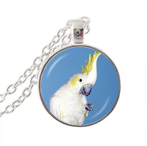 parrot pendant necklace silver plated two parrots photo collar necklace animal jewelry glass dome choker jewellery HZ1