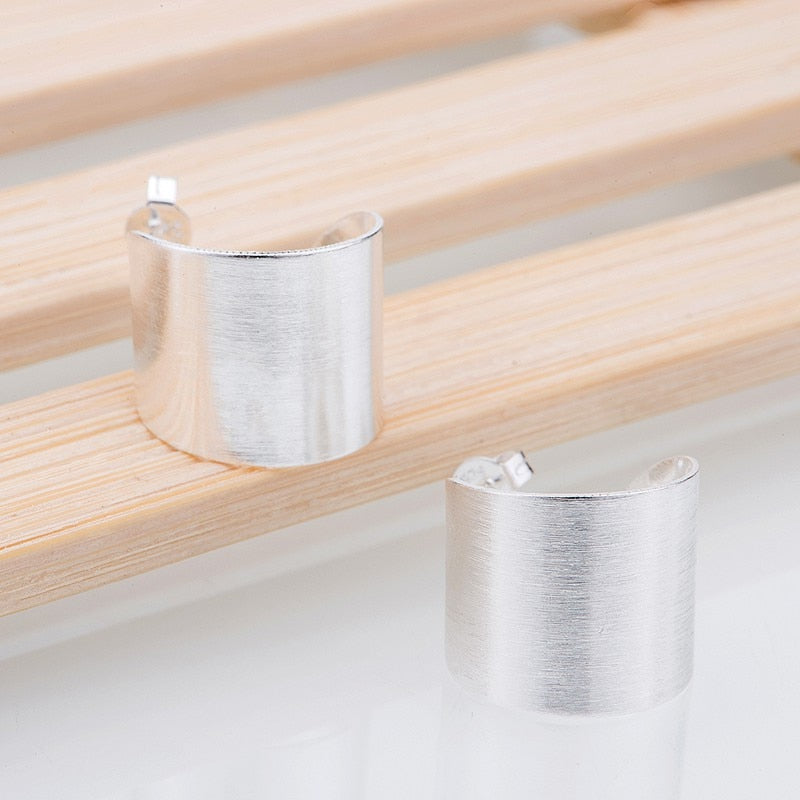 silver plated earrings 925 jewelry for women silver earrings LQ-E218 CTJWNYCP